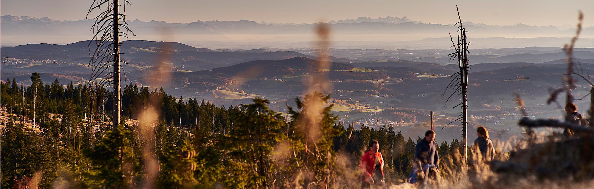 Wanderregion Bayerischer Wald - Wandern in unberührter Natur